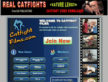 Tablet Screenshot of catfightfilms.com